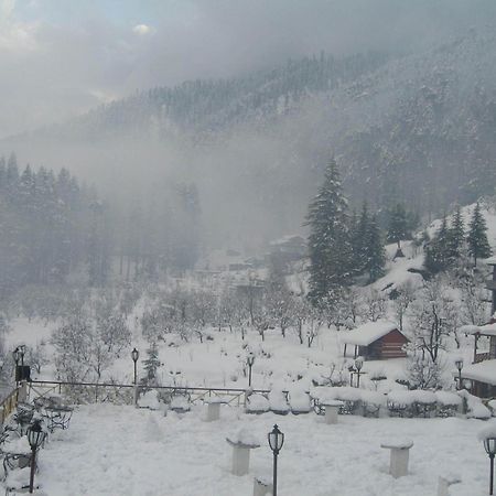 Snow Valley Resorts & Spa Manali Eksteriør billede