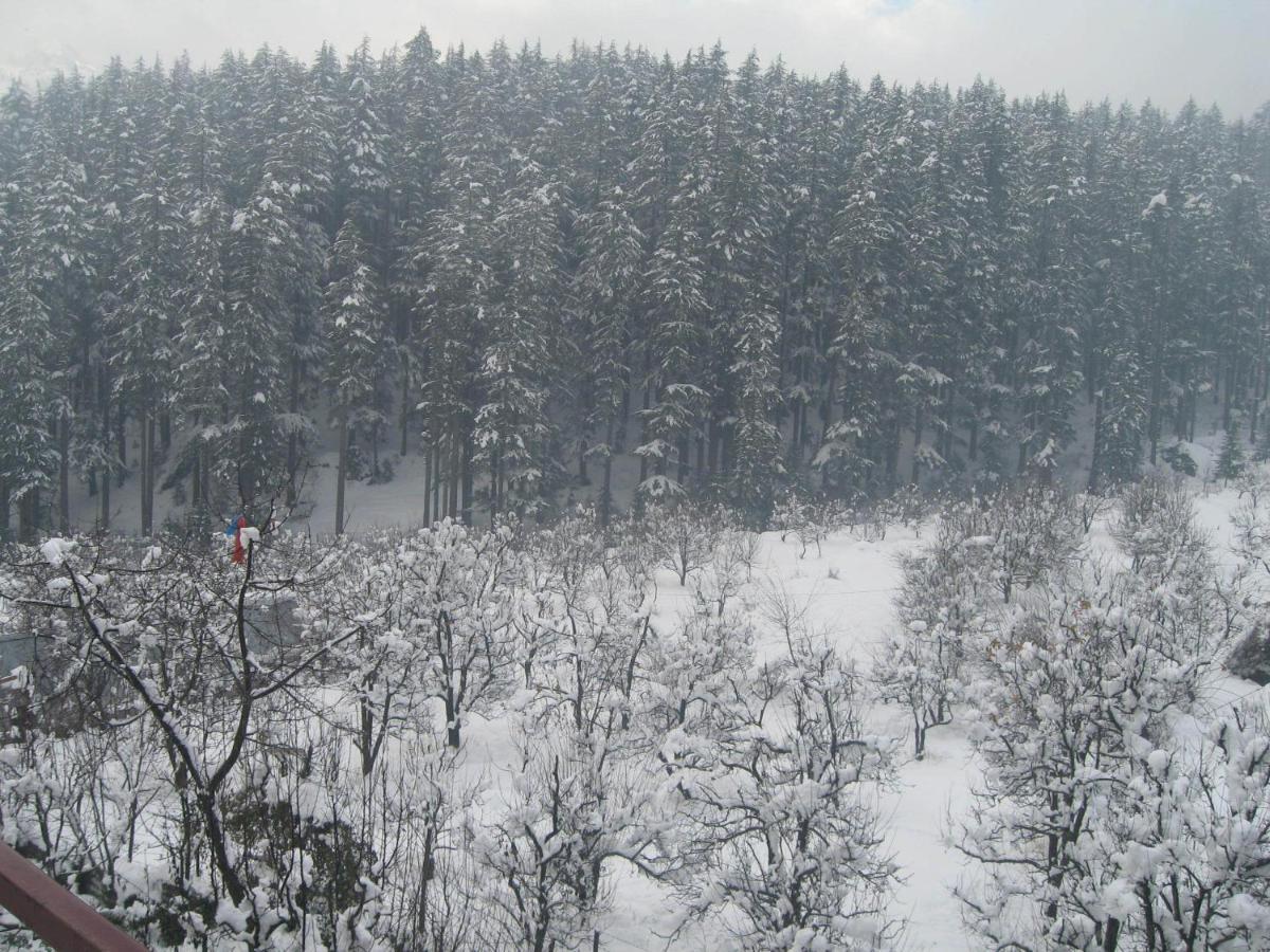 Snow Valley Resorts & Spa Manali Eksteriør billede